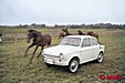 1962 Mitsubishi Colt 600
