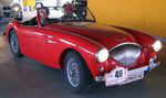 Austin Healey 100 - Bj. 1955