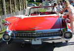 Cadillac Eldorado Birraitz - B. 1959